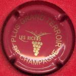 Champagne Les Riceys