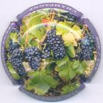 Champagne Doussot Vve