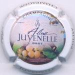 Champagne Juvenelle Aline