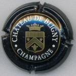 Champagne Château de Bligny